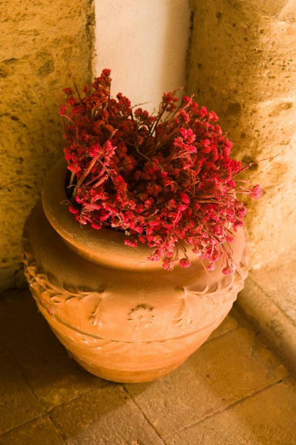 Apartamento Palazzo Contino Bagnoregio Exterior foto